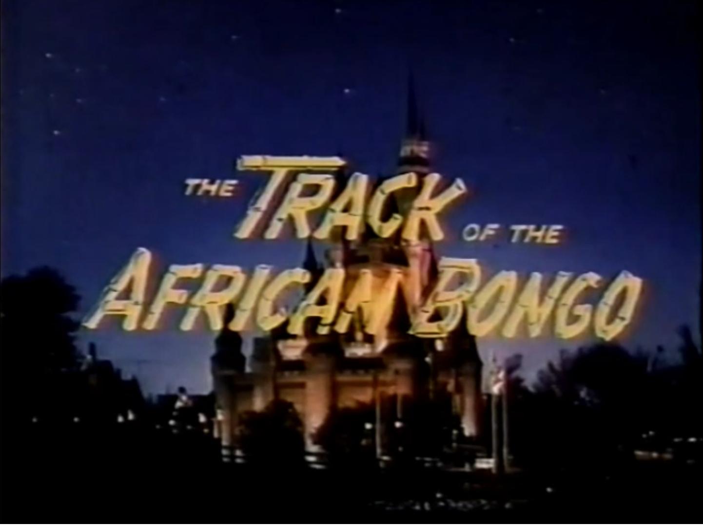 The Track of the African Bongo
